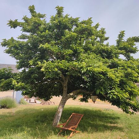 Le Clos Champetre Longue Luaran gambar